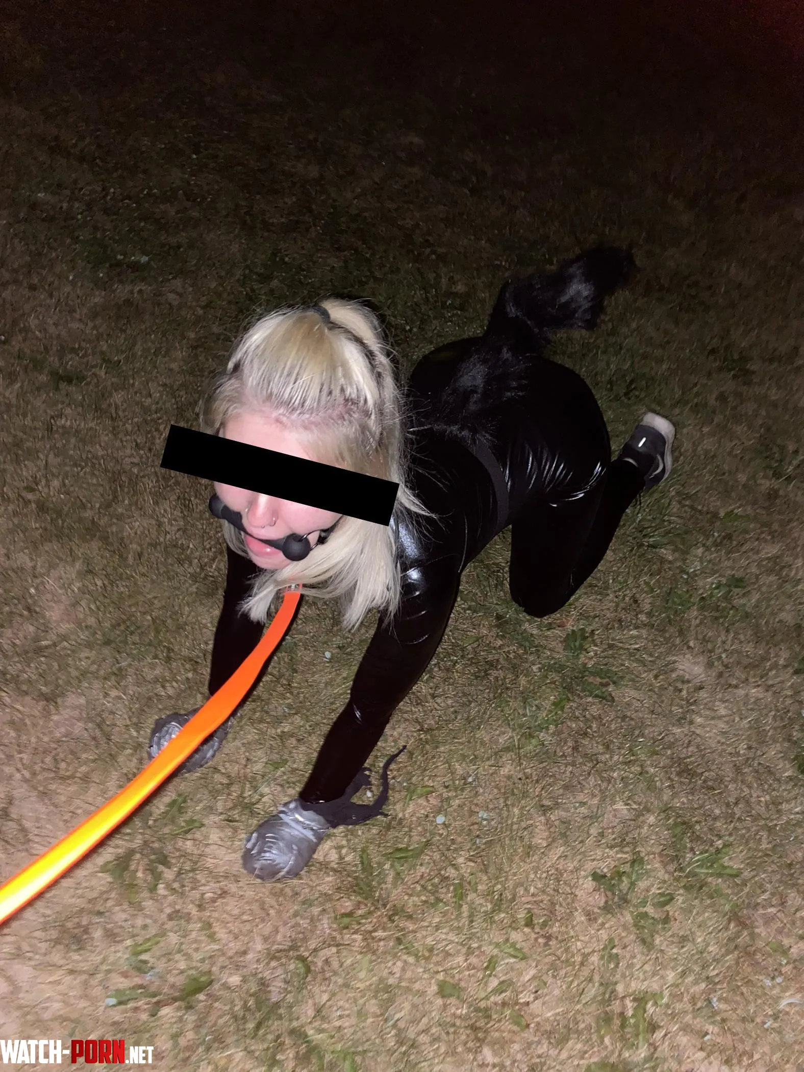 Took my pet on a late walk out in public by kinkiestcouplee