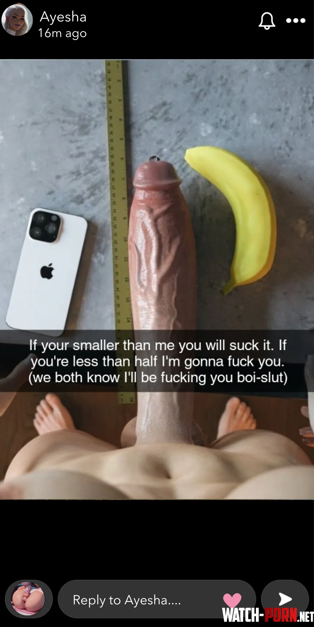 The message from your Mistress Image rexart Futadom Futa on Male Size comparison Implied Oral Implied Anal Sph Ayeshaverse by SheWillDestr0yYou