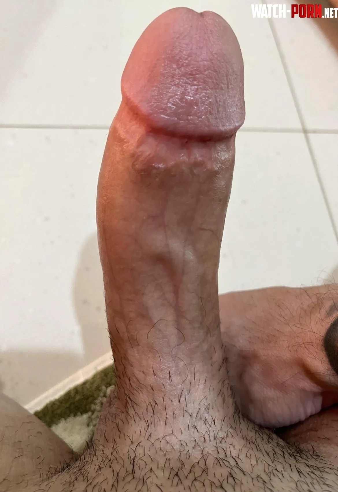 CUM sit on my HARD throbbing dick  by TheeGuyDerek