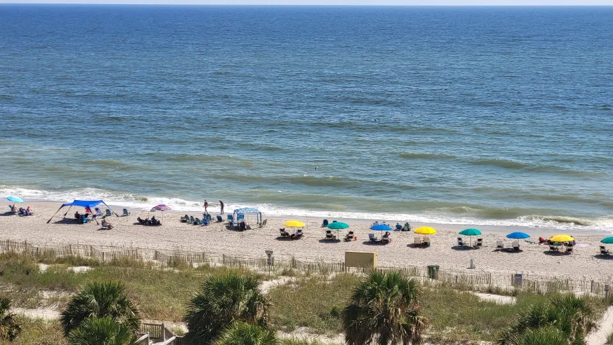 Thumbnail Discover the Beauty of Myrtle Beach by Islesands - A Must-Visit Beach Destination