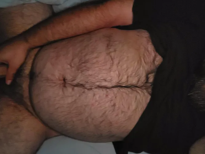 Thumbnail Embracing My Body Hair: A Journey by hairychubbyman in the insanelyhairymen Community