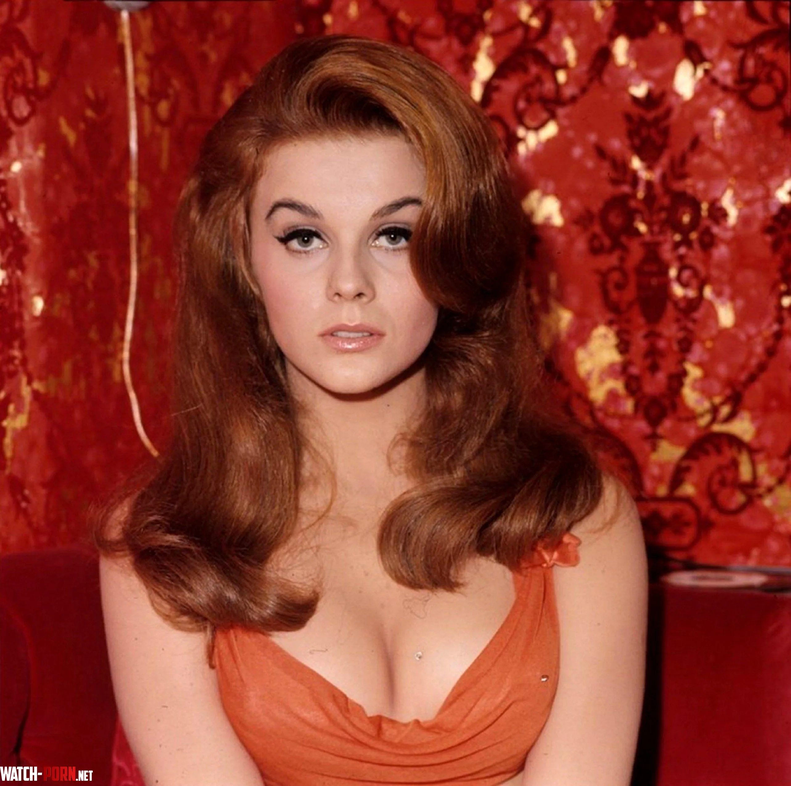 ann margret by Old-Trick-587