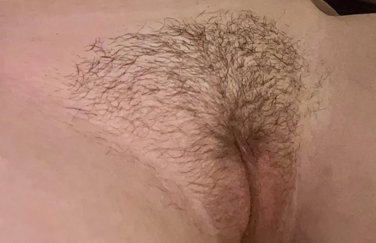 Thumbnail Discover the Perfectly Trimmed Gems of HairyPussy with torontoblondie6