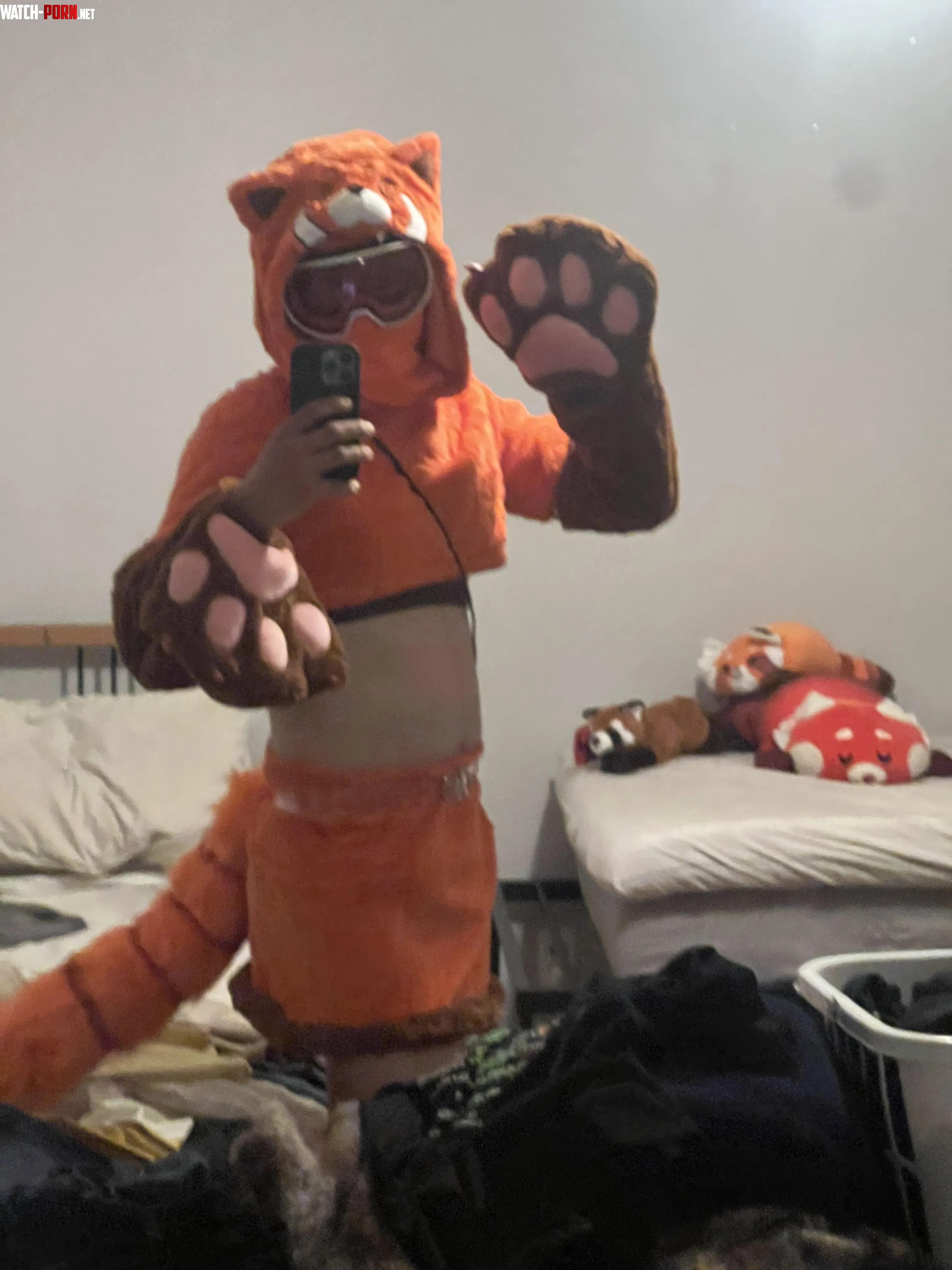 Not really a fursuit but slowly getting there My new outfit I really like how it fits Not really a fursuit but it sure does feel like one to me 3 by Existing-End-253