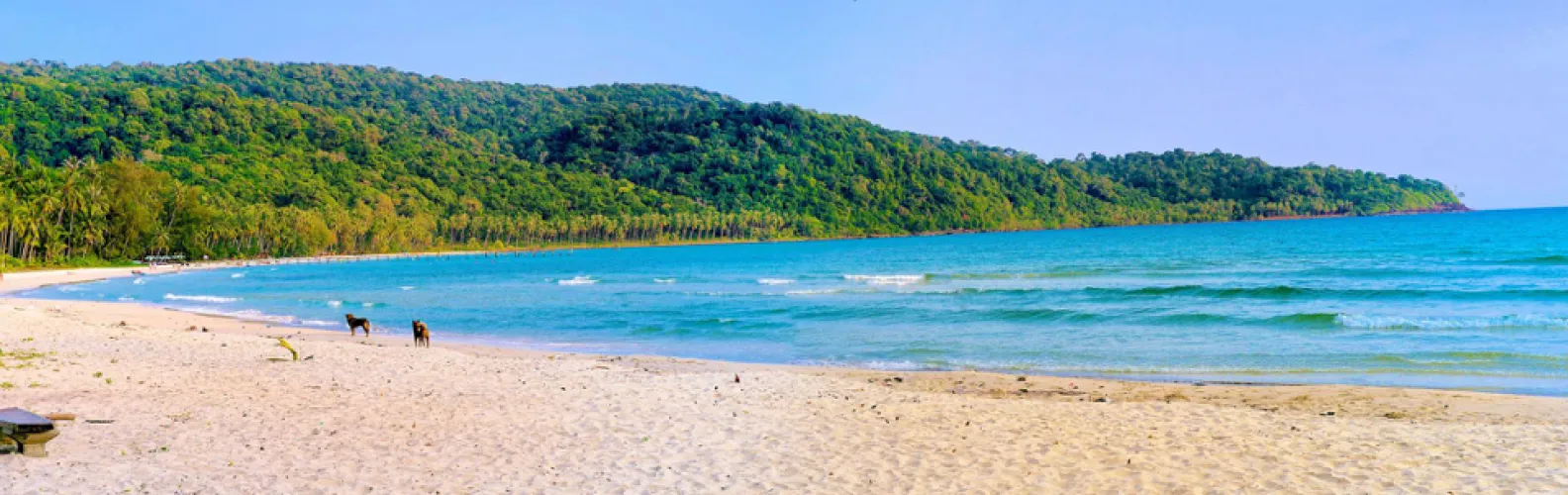 Thumbnail Serenity and Sunshine at Koh Kood Beach by Dull_Complex_80