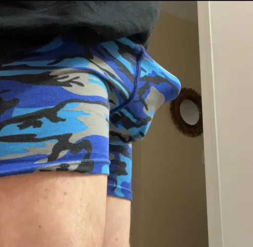 Thumbnail My Go-To Boxers Unveiled by sbt771