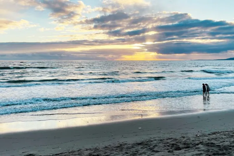 Thumbnail Exploring the Wonders of California Beaches