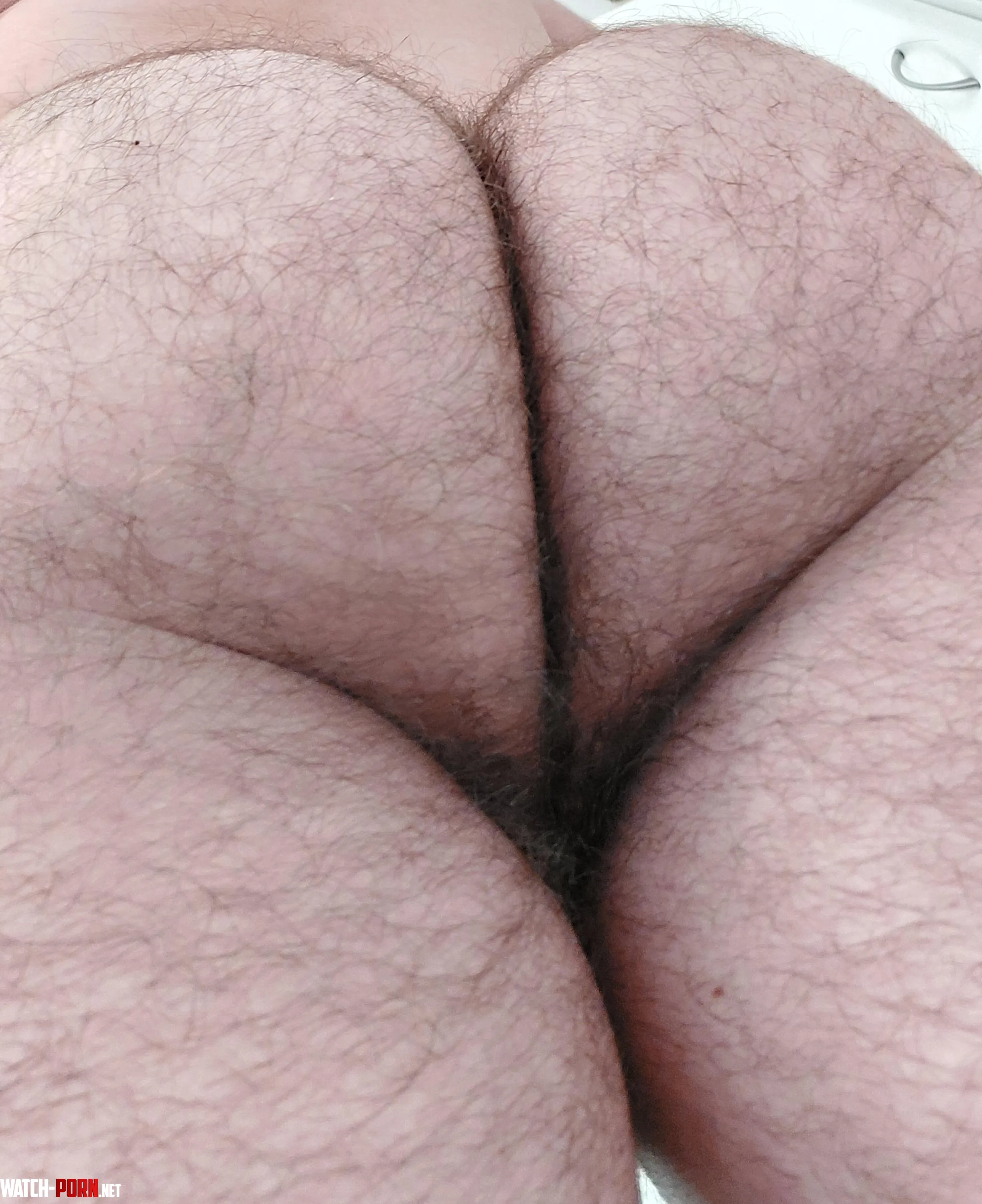 Hairy ass Wanna taste it by Individual_Error8608