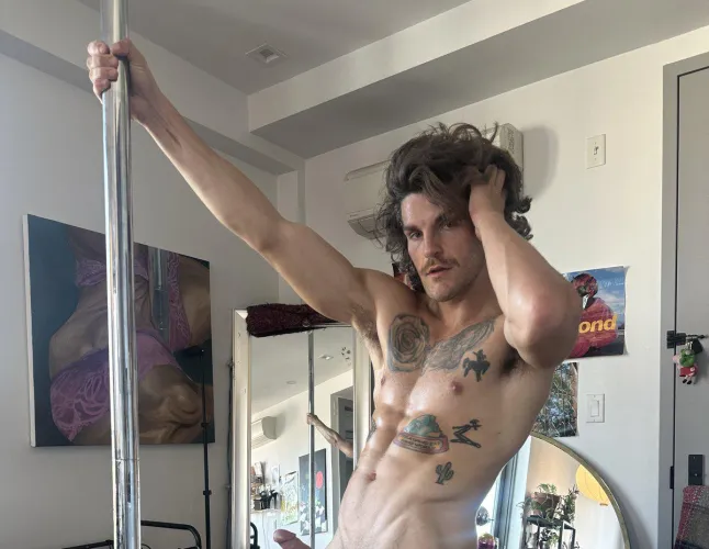 Thumbnail Dual Pole Fantasy: Landon_Long_Official's Hot Display