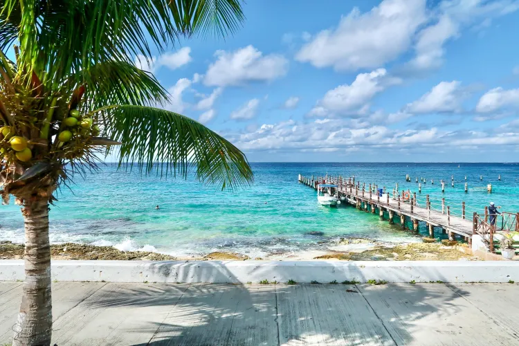 Thumbnail Discover Cozumel's Snorkeling Beach in Mexico