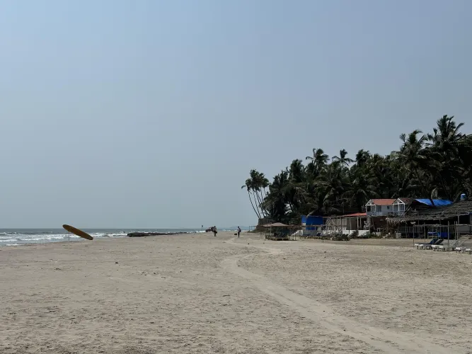 Thumbnail Immersed in the Serenity of the Beach