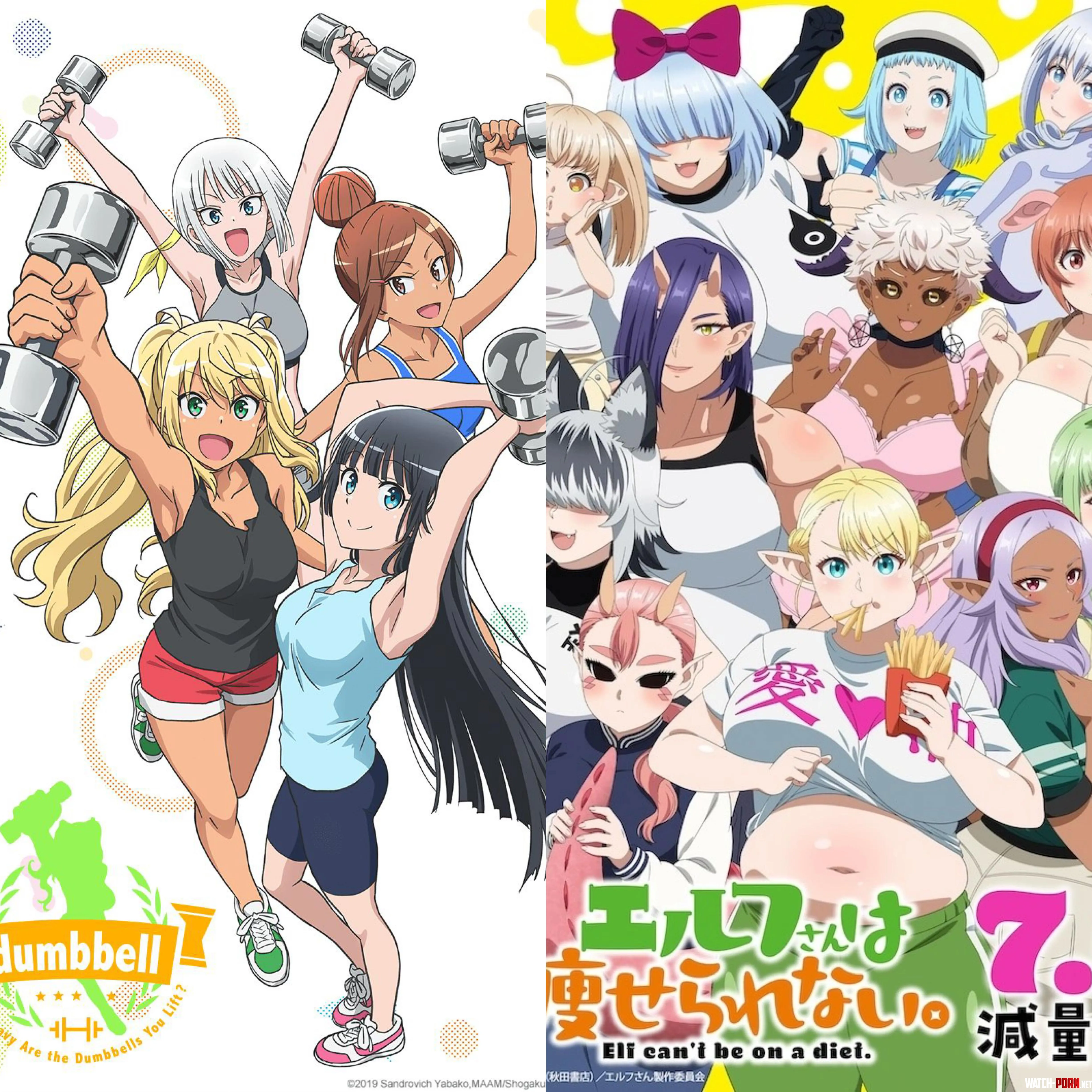 The duality of man Fit Girls or Chubby Girls How Heavy Are the Dumbbells You LiftPlus Sized Elf by Relevant-Cod8463