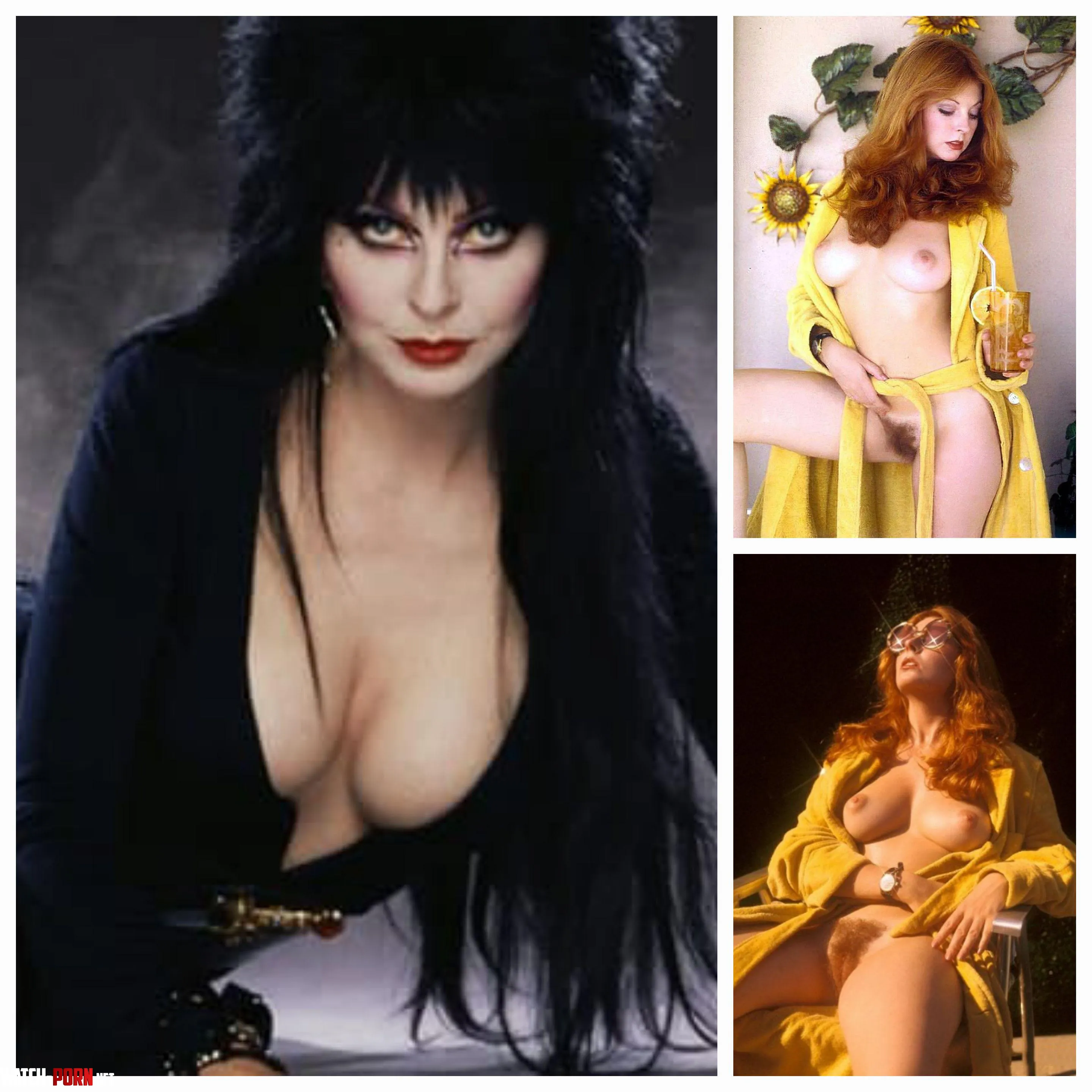 Cassandra Peterson  Elvira  by Oneeyedwillie81