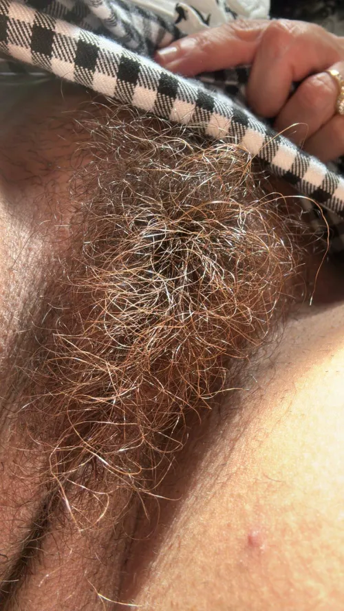 Thumbnail Untrimmed Wonders: lickedyslit's Hairy Confession