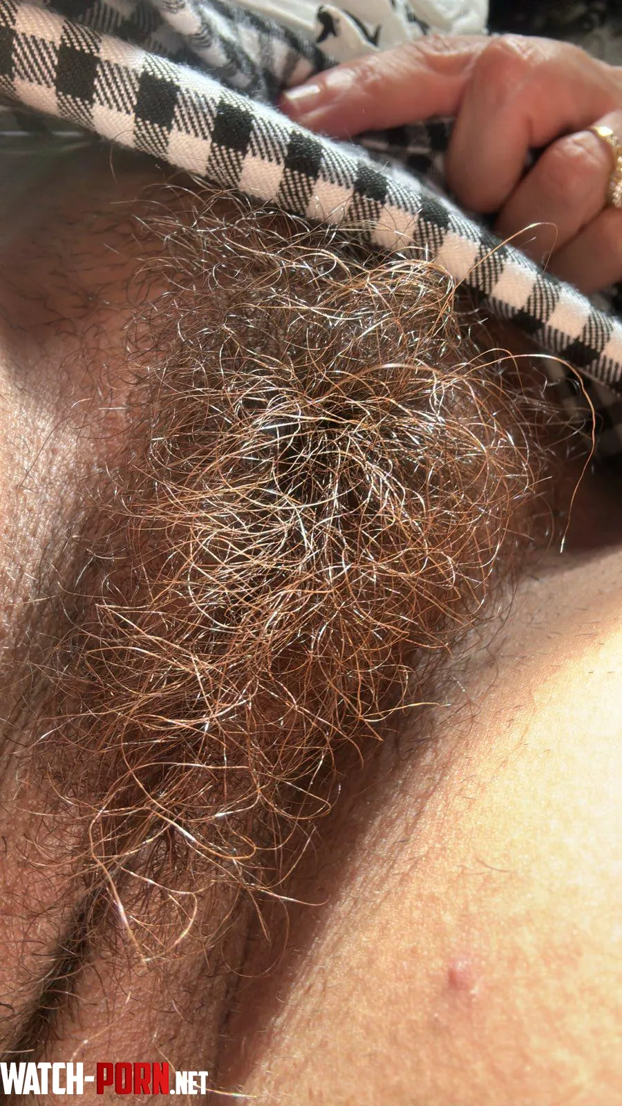 Ive never trimmed the middle ever by lickedyslit