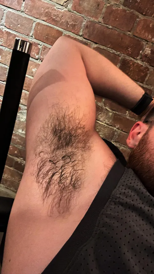 Thumbnail Just My Hairy Pits: armpitwoll's Reveal in insanelyhairymen