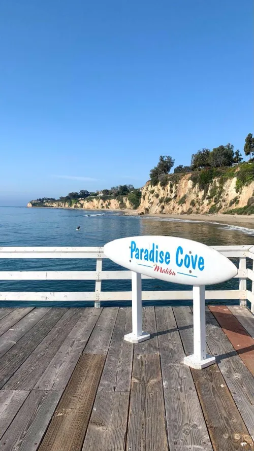 Thumbnail Admiring the Beauty of Paradise Cove Malibu's View by Dreambiggirll