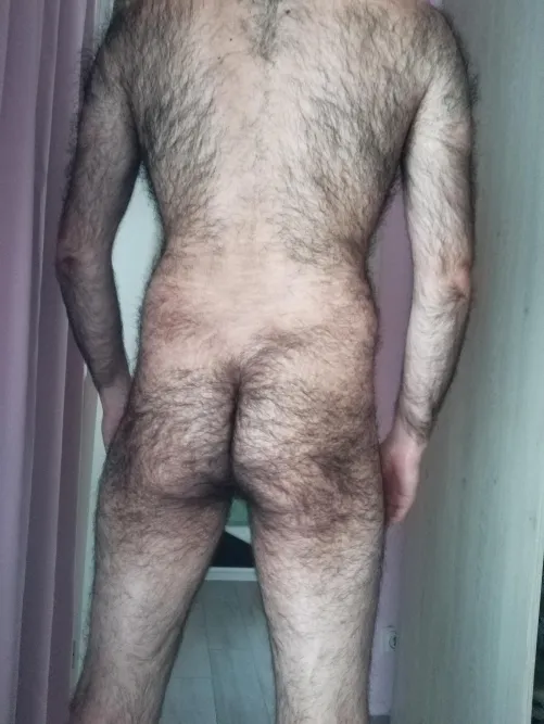 Thumbnail I could be the sweet gorilla of your dream by Hairypanter | insanelyhairymen