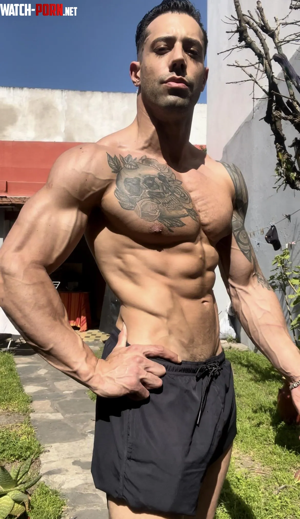 62 220lbs Flexing and Posing by TattooedMuscled