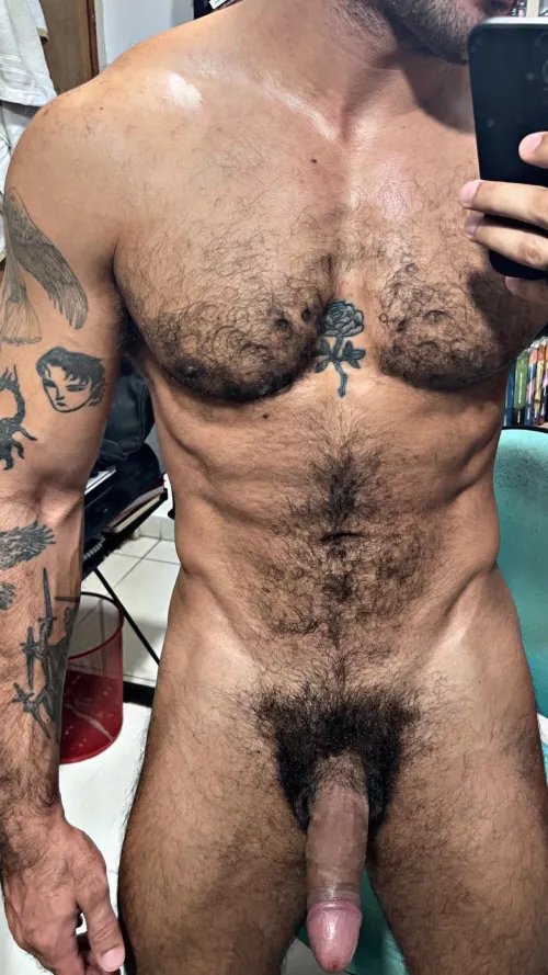 Thumbnail A Provocative Invitation: Hairy Chest and Cock