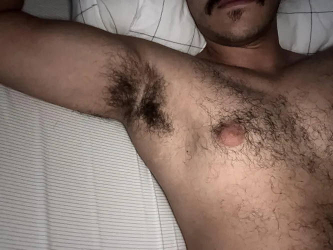 Thumbnail Exploring 'Ripened Overnight’ by neighborjock in insanelyhairymen Category