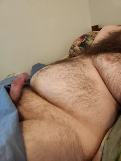 Thumbnail Morning Wood Revelation: An insanelyhairymen Experience