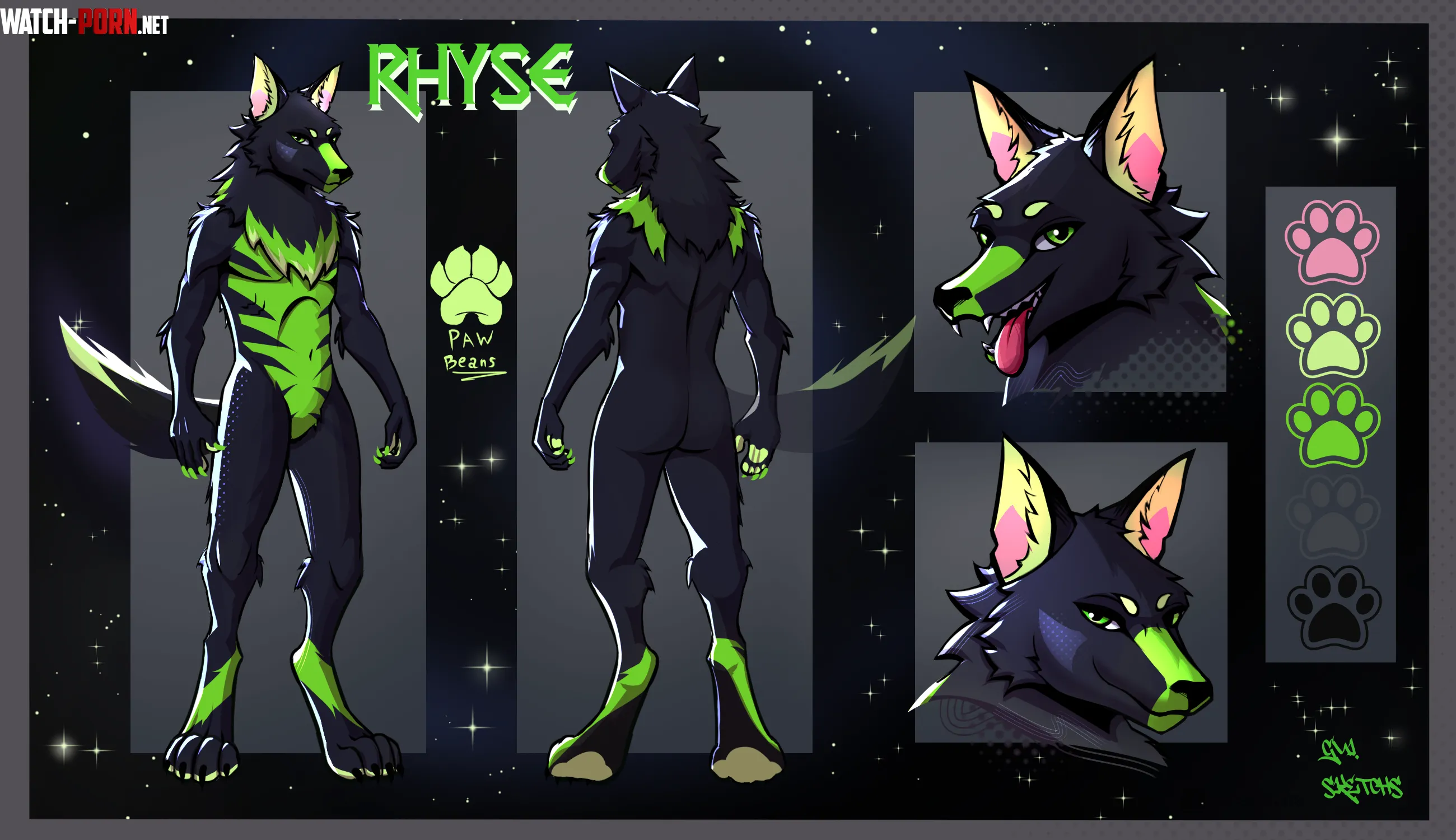 Finished Ref Sheet commission for Rhyse DM Me By Me by gui_sketchs