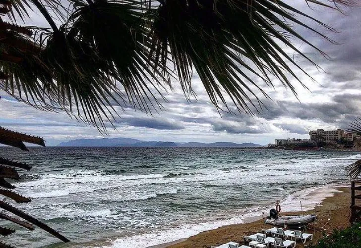 Thumbnail Mesmerizing Palm Trees and Golden Sand Beach in Turkey's Cloudy Weather by rosymelanie