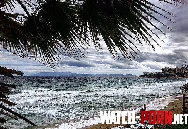 Palm trees and golden sand beach in Turkey in cloudy weather by rosymelanie