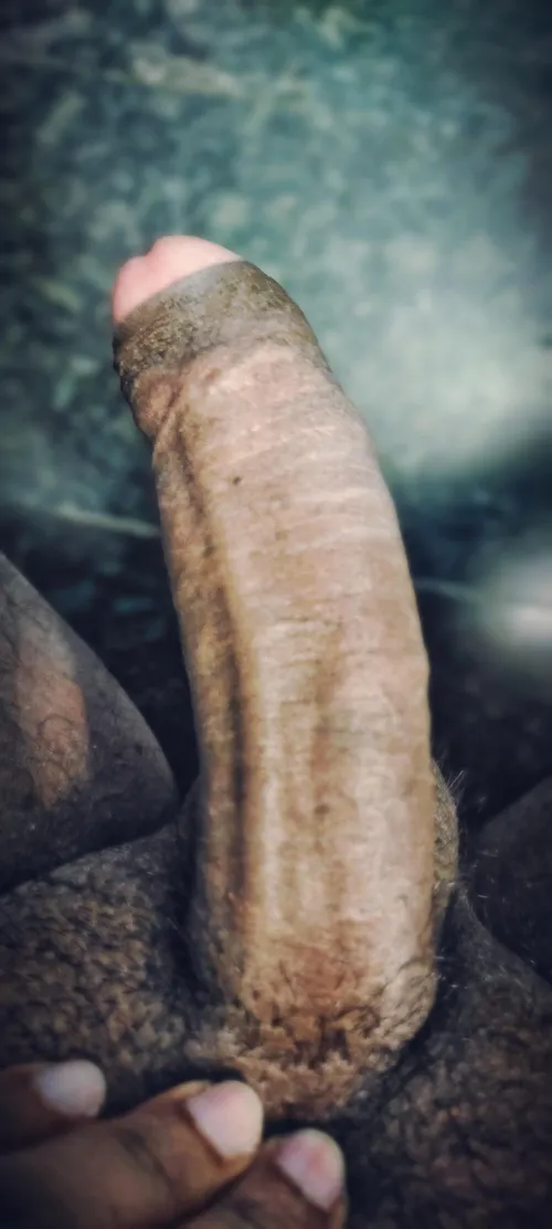 Thumbnail Daily Dose of Dick: Fulfilled Foreskin Fantasies