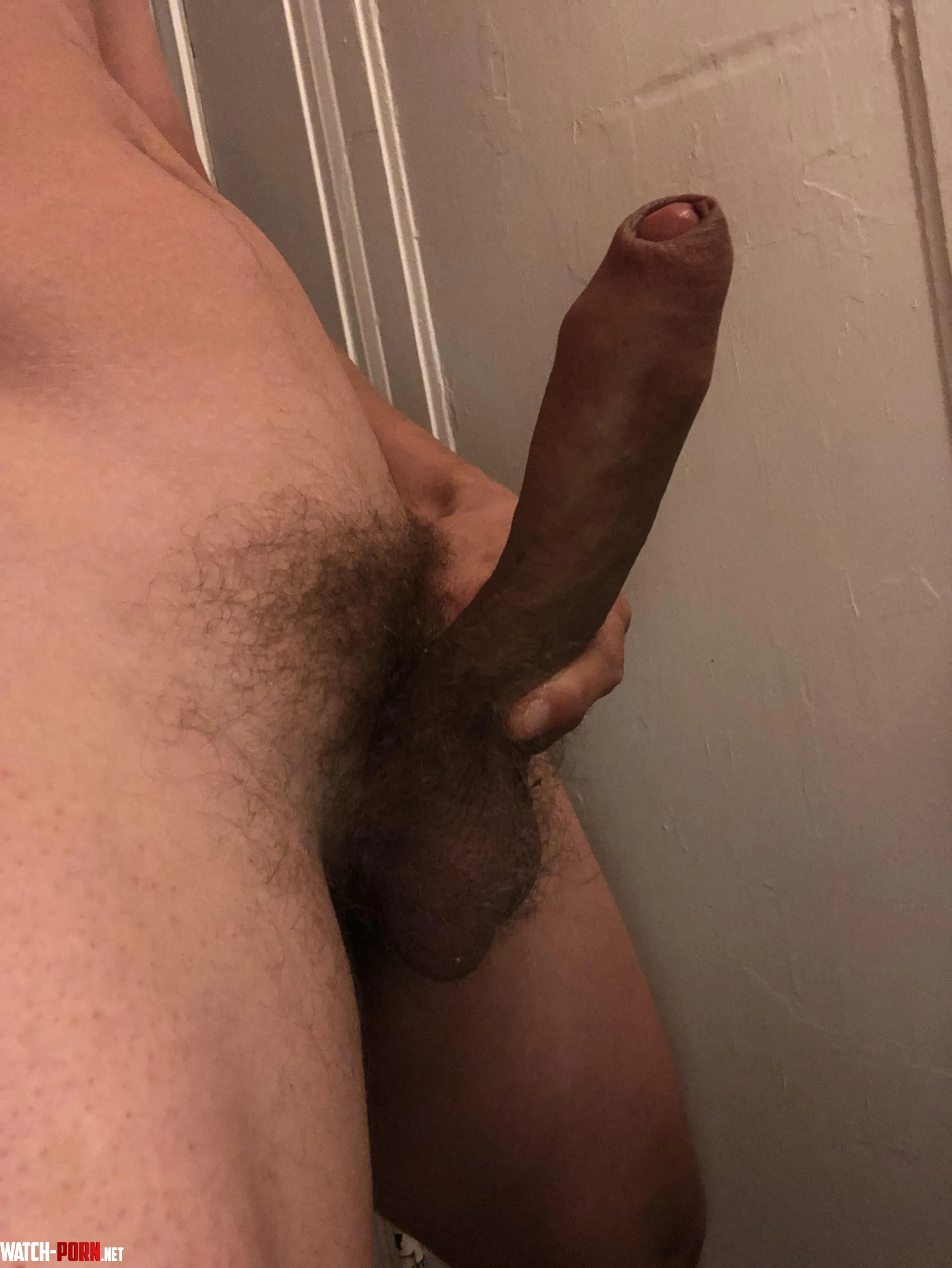 My uncut American morning wood  by uncut_exhibitionist