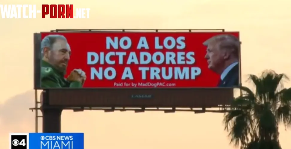 No a los dictadores No a Trump No to dictators No to Trump by privateSubMod