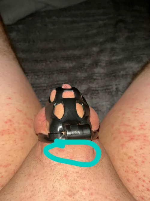 Thumbnail New to Cages? Get Answered by Subbygooner_ in SissyChastity