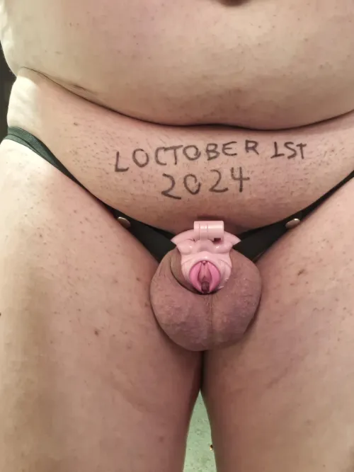 Thumbnail Mark Your Calendar: Locktober 1st, 2024 Insights by scrapdflasher