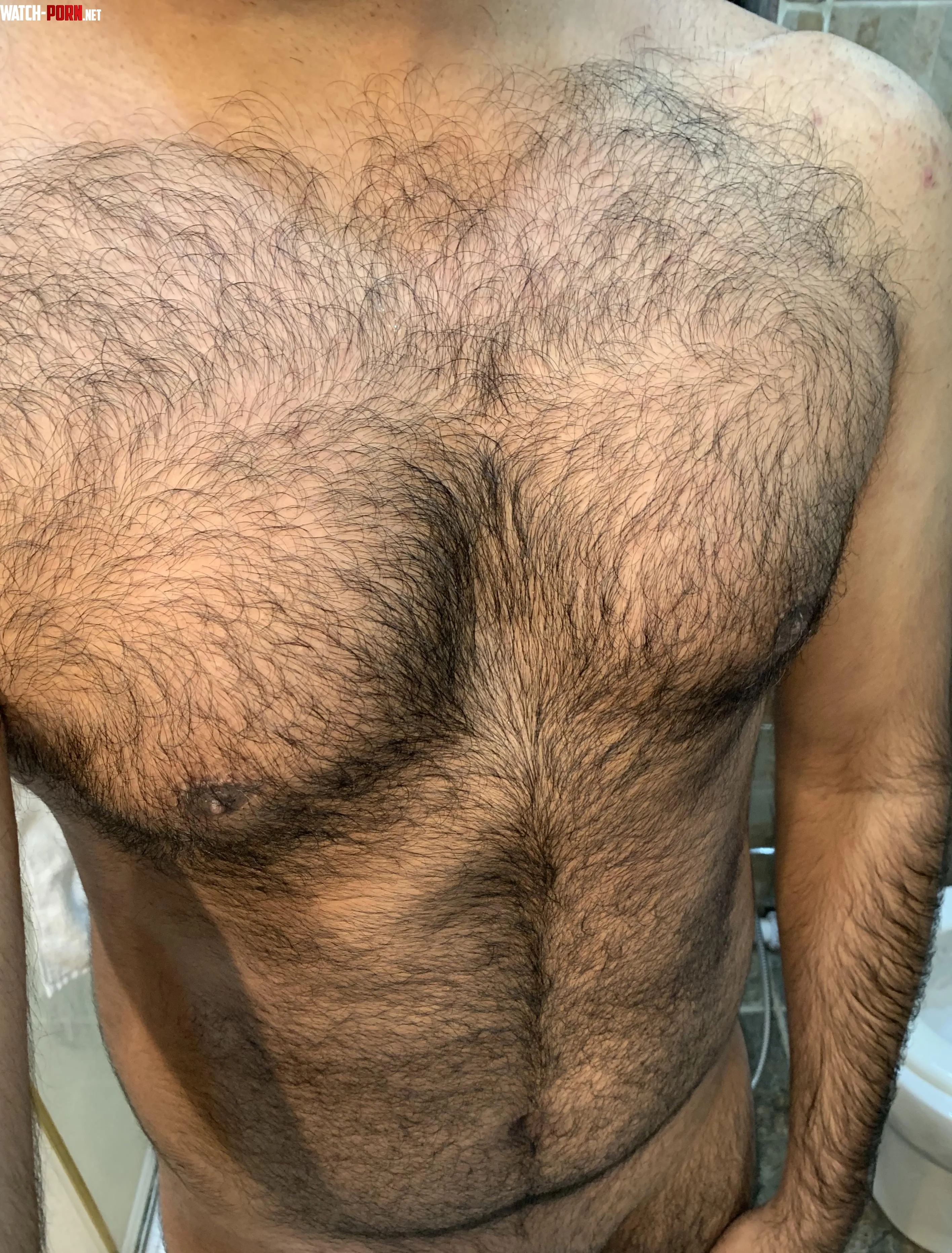 Anyone like hairy guys by hairy_man_1