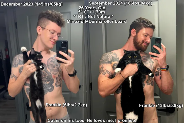 Thumbnail Otherwise_Time3371's 9 Month Progress Update: Kitten to Cat Transformation