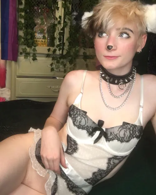 Thumbnail Kitty Wants to Play - Adventures in Petplay with Cutekawaiiboi