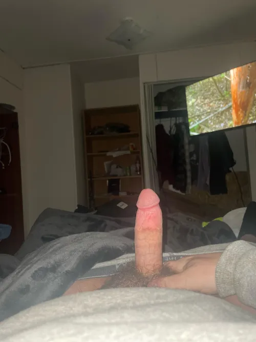 Thumbnail Unveiling the Appeal of Thick and Hairy Cock