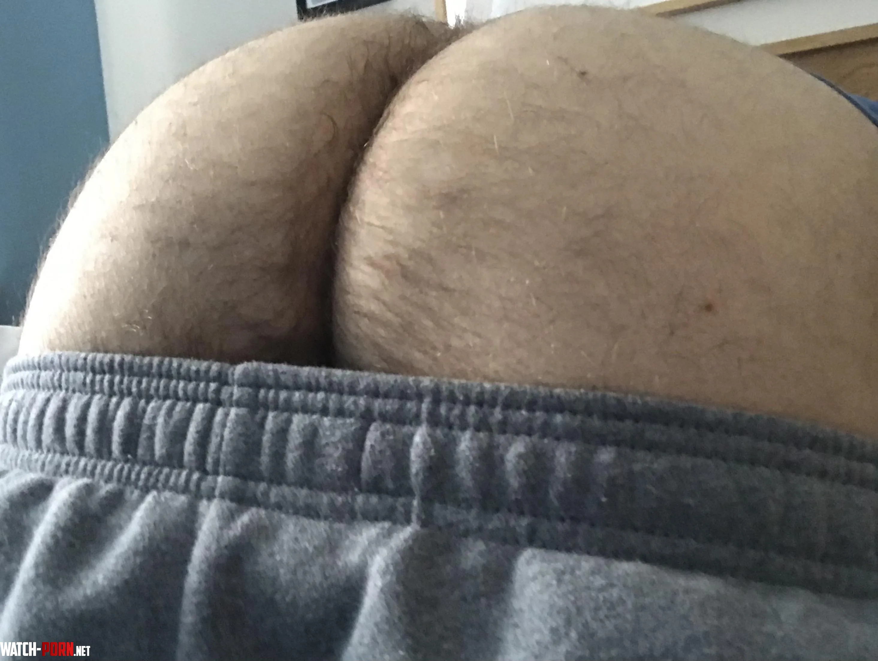 I want to make a butt museum Whos in  by Wc3333333