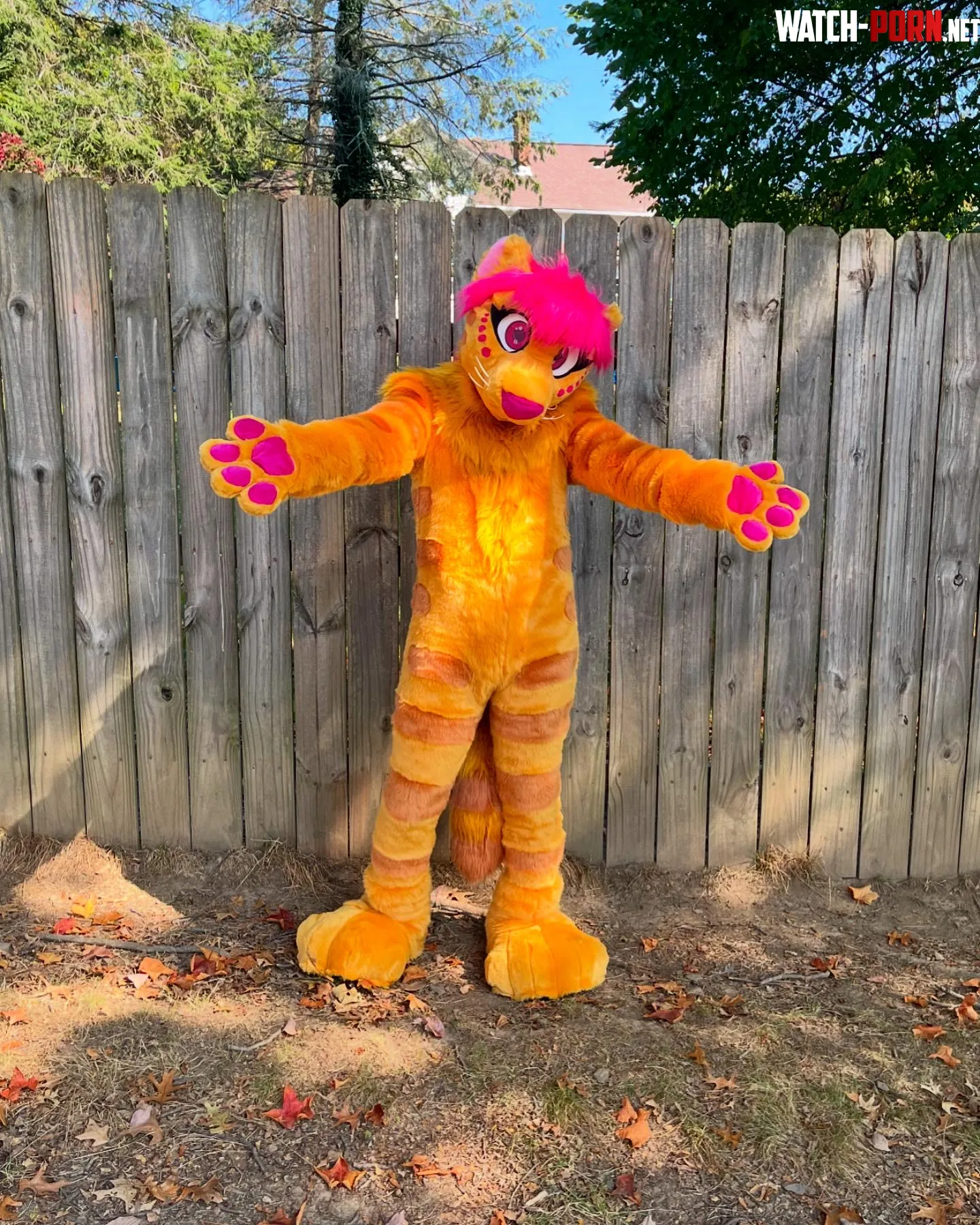 Just got a new fursuit by Flyjah_FlySkunk