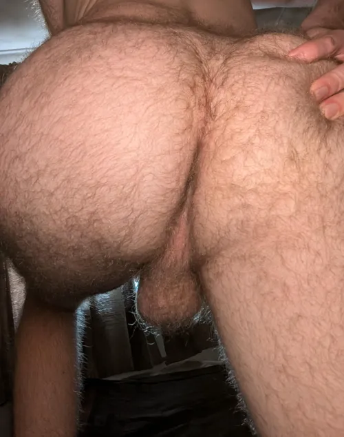 Thumbnail Hairy Arse Aesthetics: Seeking Approval - hairygingerbloke