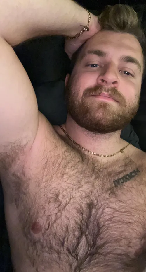 Thumbnail Any Love for a Hairy Bro? Explore Kurtie69's Question