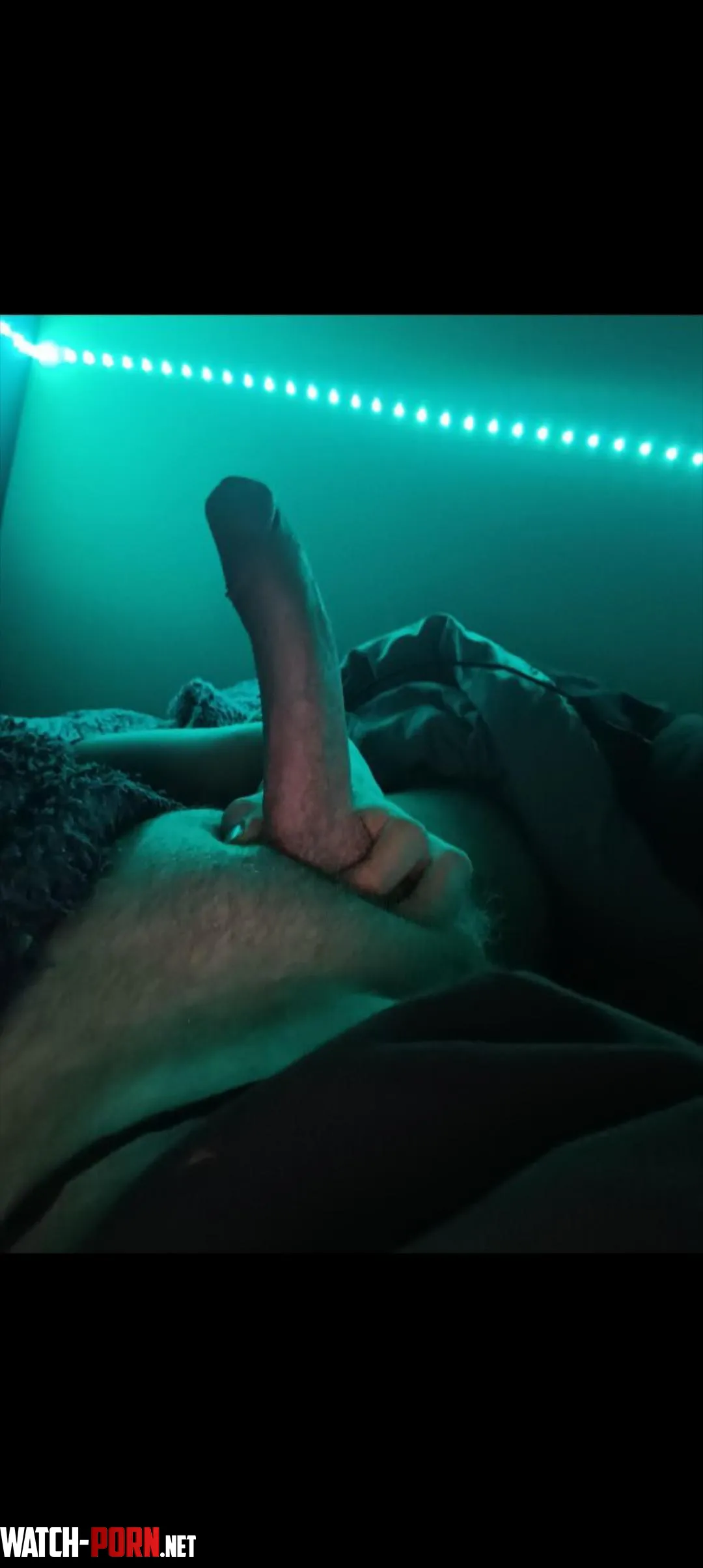 Any love for a thick younger british cock by ChimpinCocks