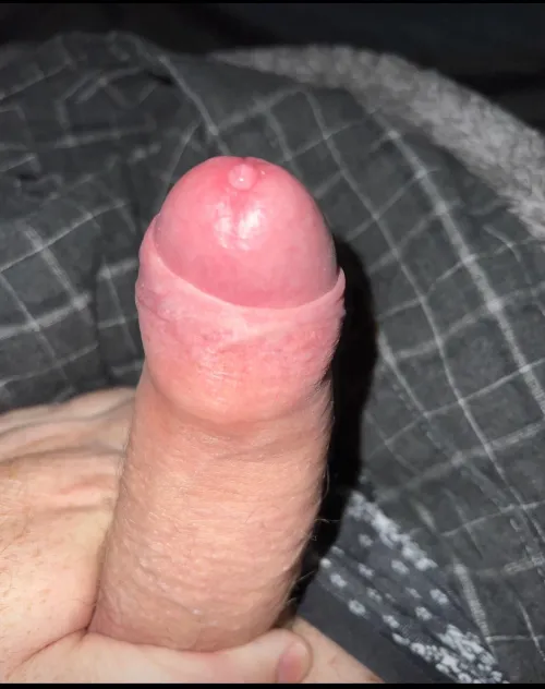 Thumbnail 'First Time Posting' at M42: Join MurphWonderDic in the Penis Discussion