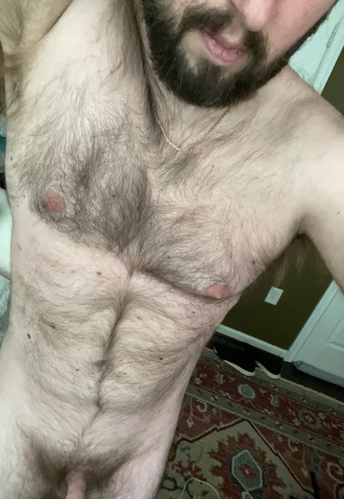 Thumbnail Connect with Like-Minded Individuals in '35 Hairy Masculine Looking for Other Men to Trade DM Me' by bryc254