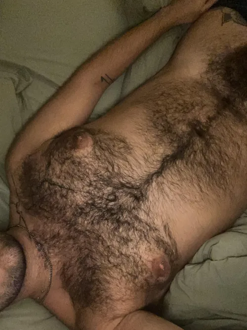 Thumbnail Just a Hint of Hair: A Subtle Allure | blisssd11 | Insanely Hairy Men