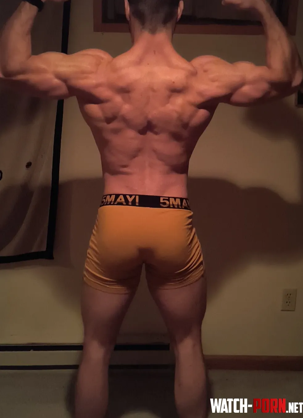 26 Working on the back gains by ManOfTheLandon