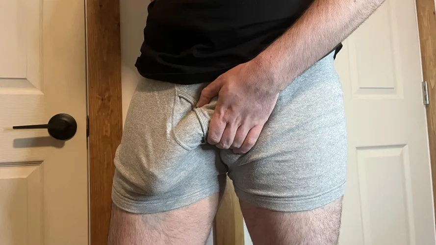 Thumbnail WoodcockWalt Greets You on a Good Sunday with Their Bulge