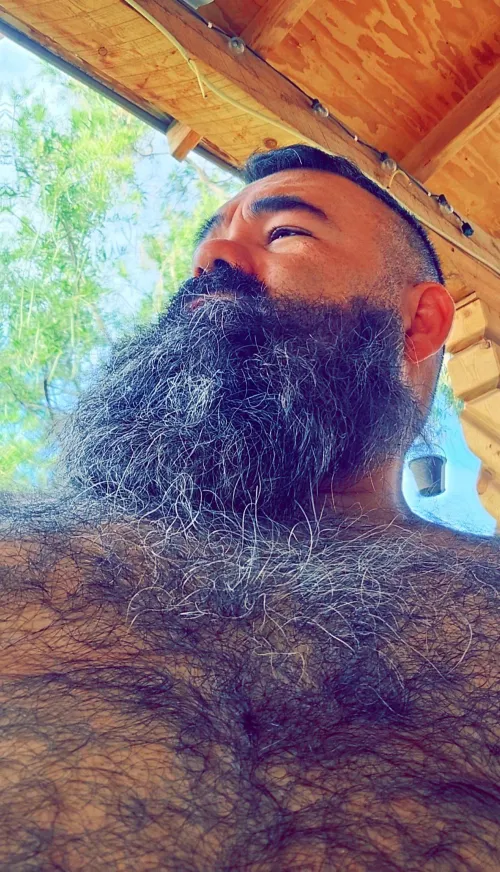 Thumbnail Appreciation for Gray Hair - insanelyhairymen by bearded-JJ