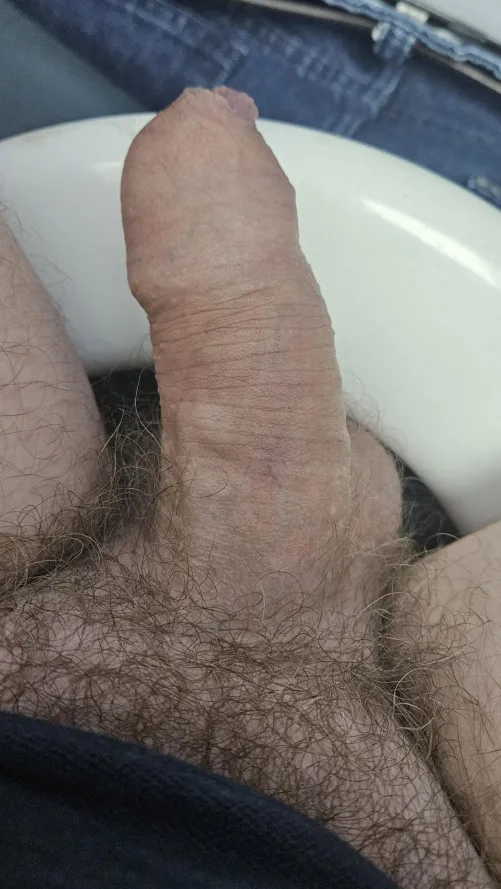 Thumbnail Semi at Work Today 51: Insights by Swimming Task 9958 in the Foreskin Category